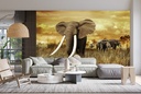 Elephant Safari Wall Mural Wallpaper - Mod4
