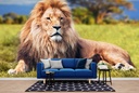 Lion Safari Wall Mural Wallpaper