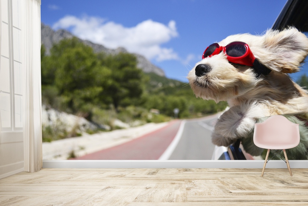 Puppy Dog Wall Mural Wallpaper