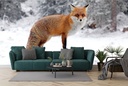 Fox In Winter Snow Wall Mural Wallpaper