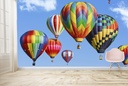 Hot Air Balloons Wall Mural Wallpaper