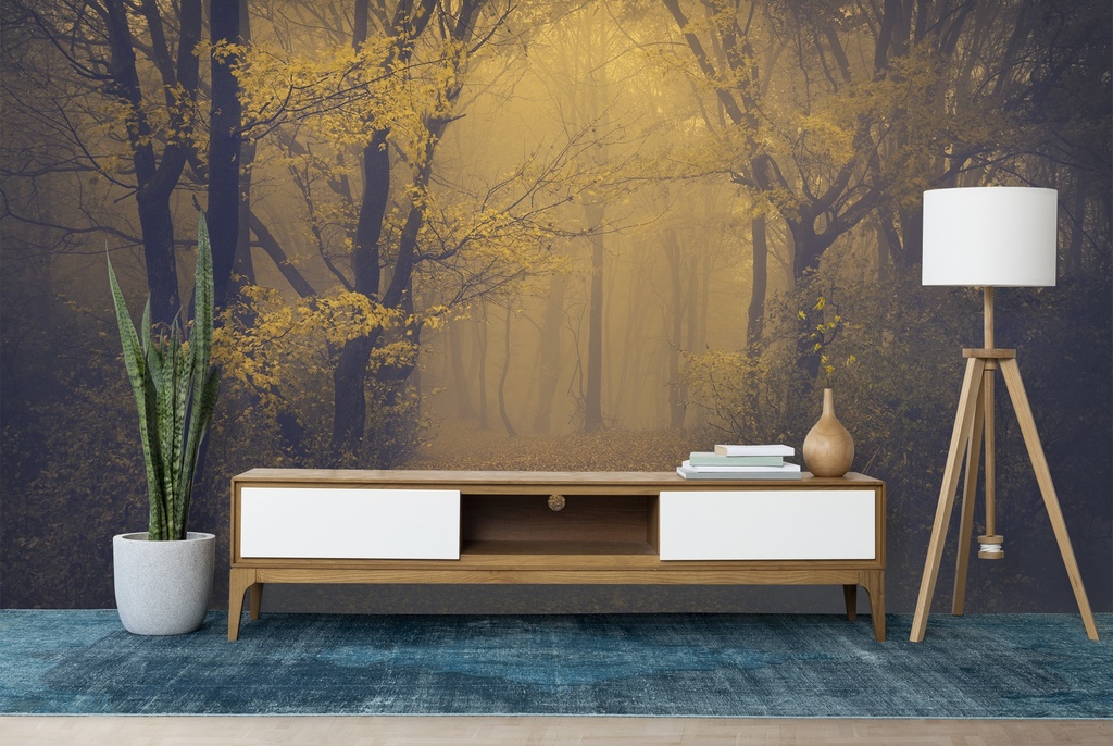 Misty Woods Forest Wall Mural Wallpaper