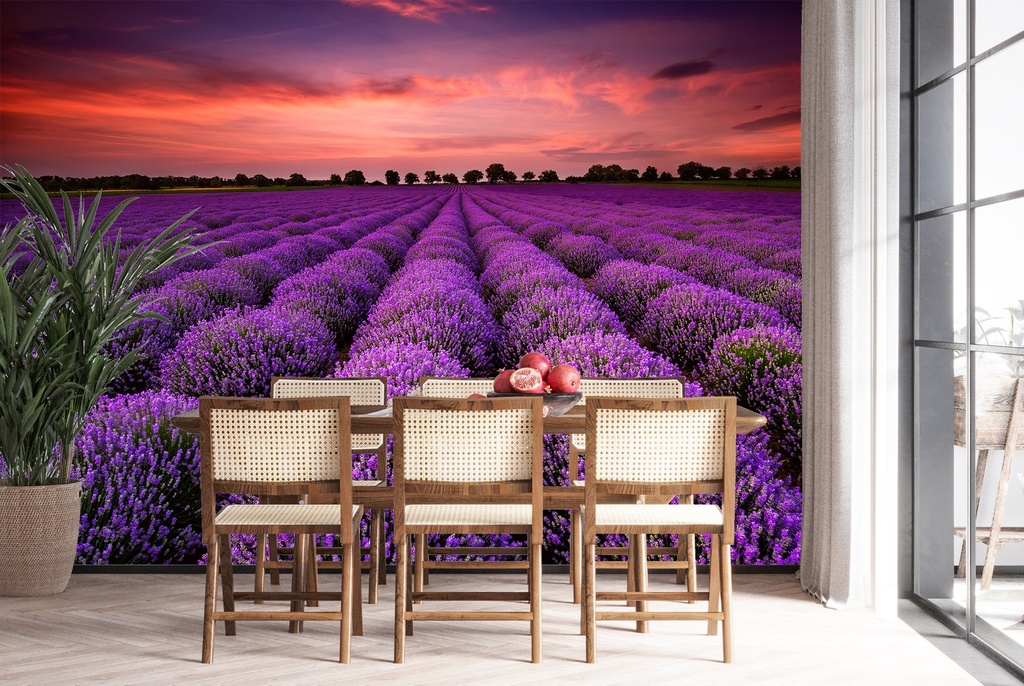 Purple Lavender Field Wall Mural Wallpaper