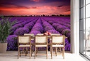 Purple Lavender Field Wall Mural Wallpaper