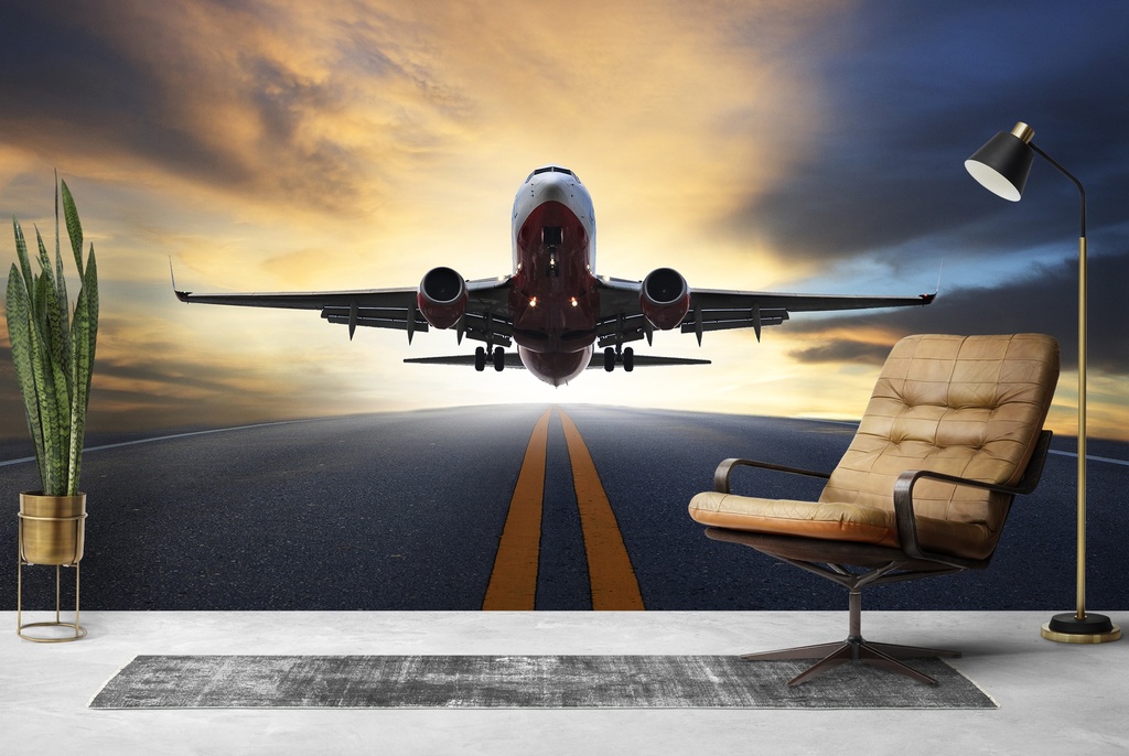 Airplane Flight Wall Mural Wallpaper