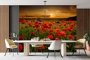 Red Poppy Field Wall Mural Wallpaper