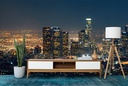 Los Angeles City Skyline Wall Mural Wallpaper