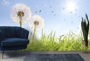 Spring Dandelions Wall Mural Wallpaper