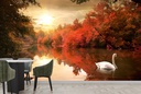 Swan On Lake Wall Mural Wallpaper