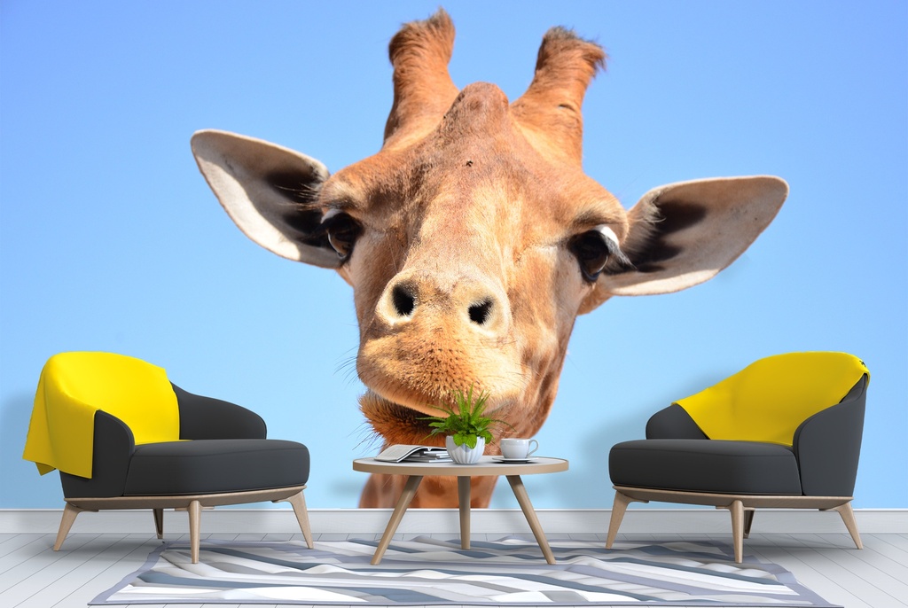 Curious Giraffe Wall Mural Wallpaper