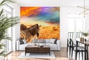 Zebra Sunset Wall Mural Wallpaper