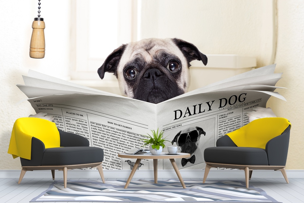 Funny Pug Dog Wall Mural Wallpaper