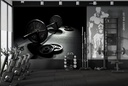 Lifting Weights Gym Wall Mural Wallpaper