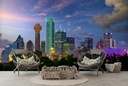 Dallas Skyscrapers, Texas City Skyline Wall Mural Wallpaper