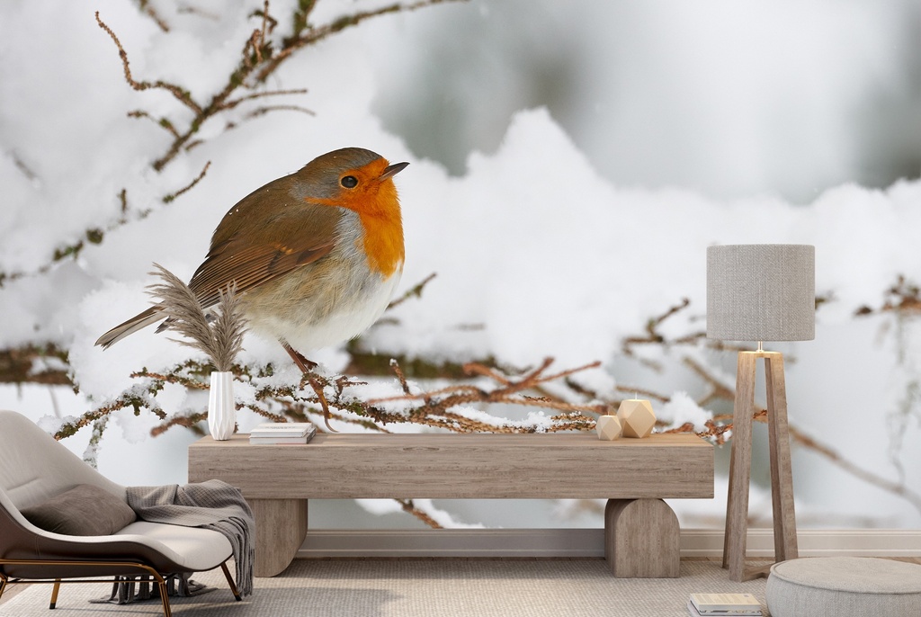 Winter Robin Wall Mural Wallpaper