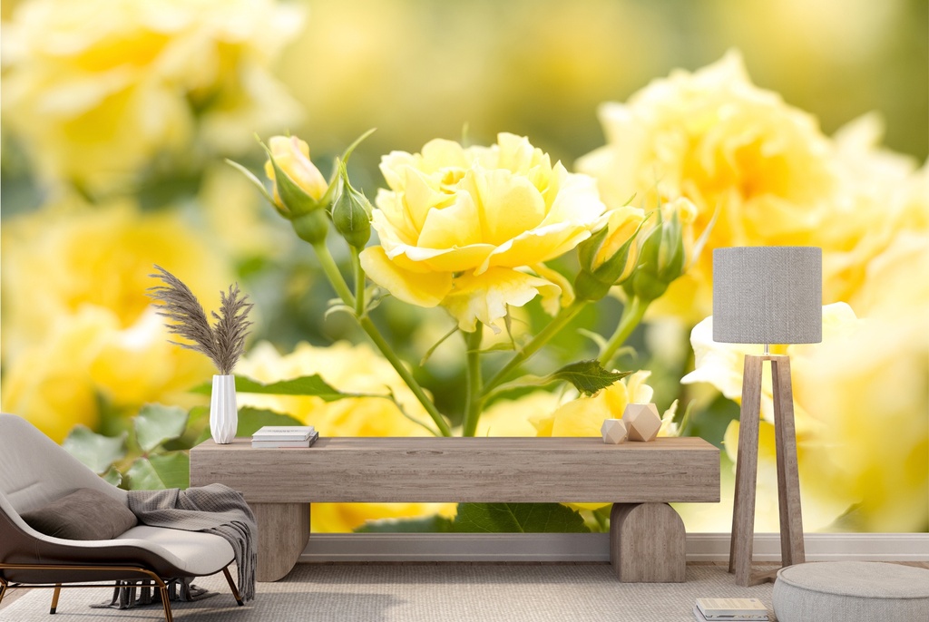 Yellow Rose Flowers Wall Mural Wallpaper