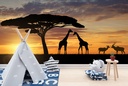 Giraffes In Savannah Wall Mural Wallpaper - Mod5