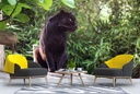 Black Panther Wall Mural Wallpaper