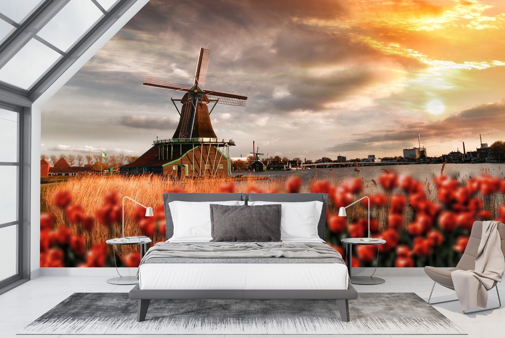 Red Tulips & Windmill Wall Mural Wallpaper