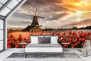 Red Tulips & Windmill Wall Mural Wallpaper