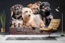 Suitcase Puppy Dogs Wall Mural Wallpaper