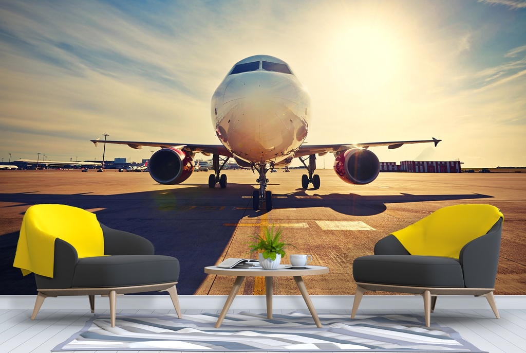 Airplane Sunrise Wall Mural Wallpaper