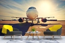 Airplane Sunrise Wall Mural Wallpaper