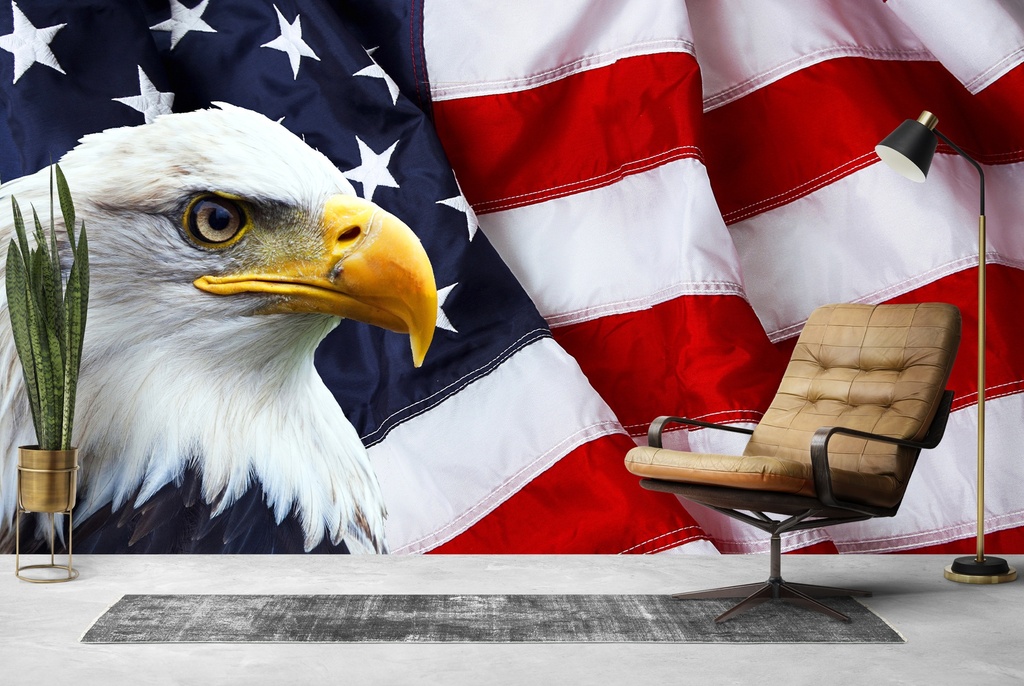 American Flag & Bald Eagle Wall Mural Wallpaper