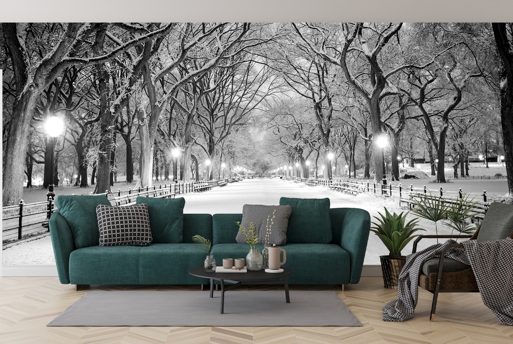 Winter Trees Central Park New York Wall Mural Wallpaper