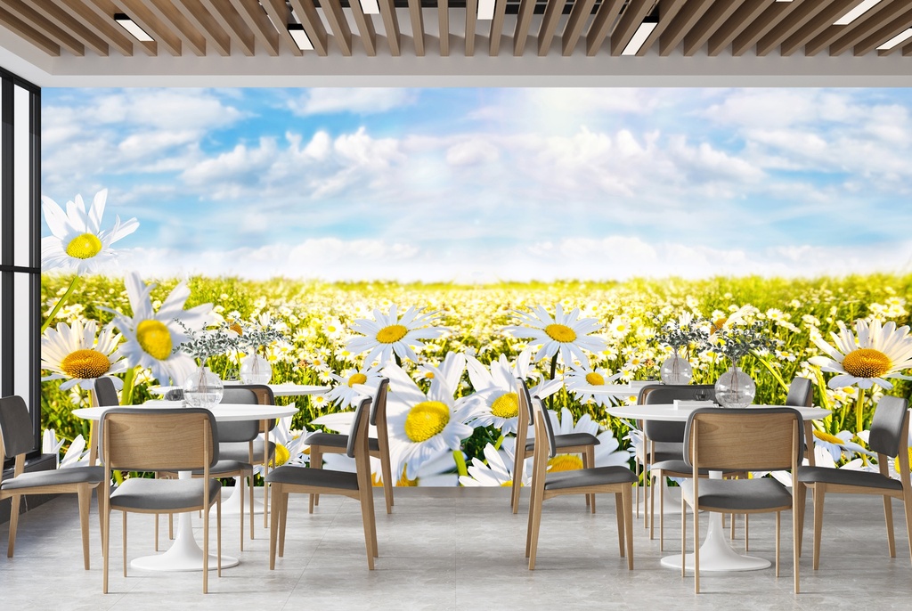 Daisy Field Floral Wall Mural Wallpaper
