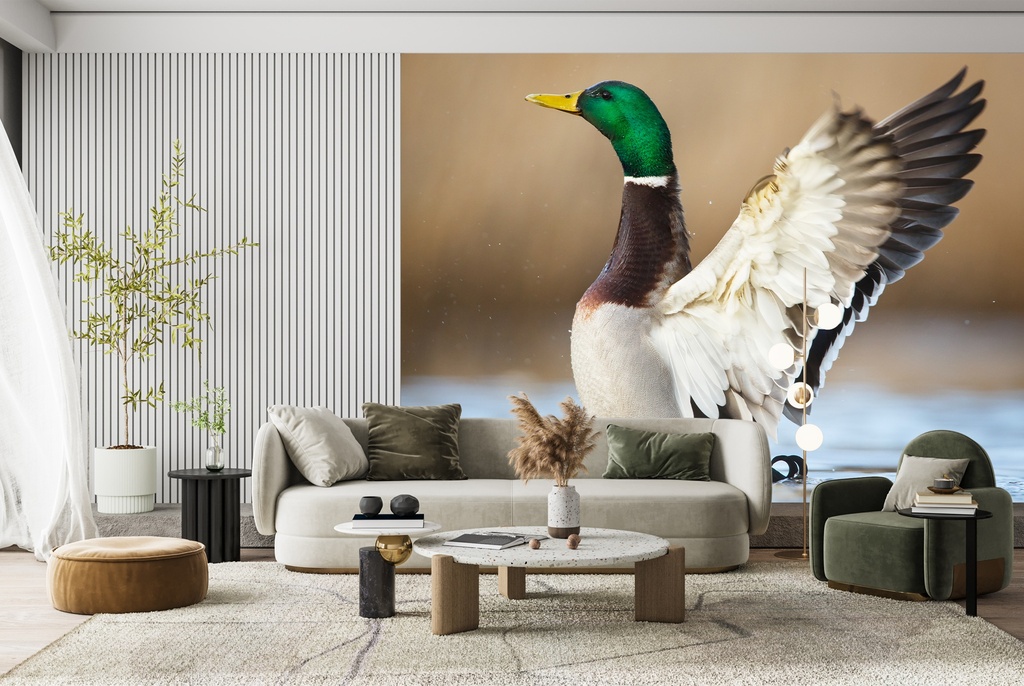 Duck Pond Wall Mural Wallpaper
