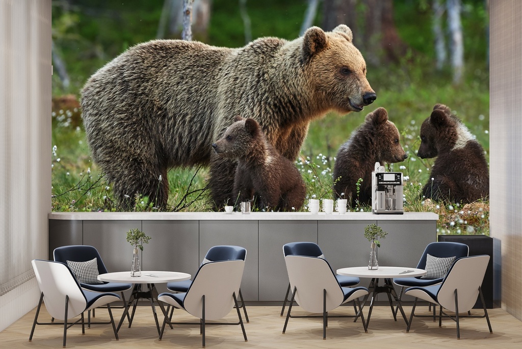 Brown Bear Wall Mural Wallpaper - Mod4