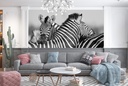 Zebra Embrace Wall Mural Wallpaper