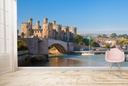 Conwy Castle Wales Wall Mural Wallpaper
