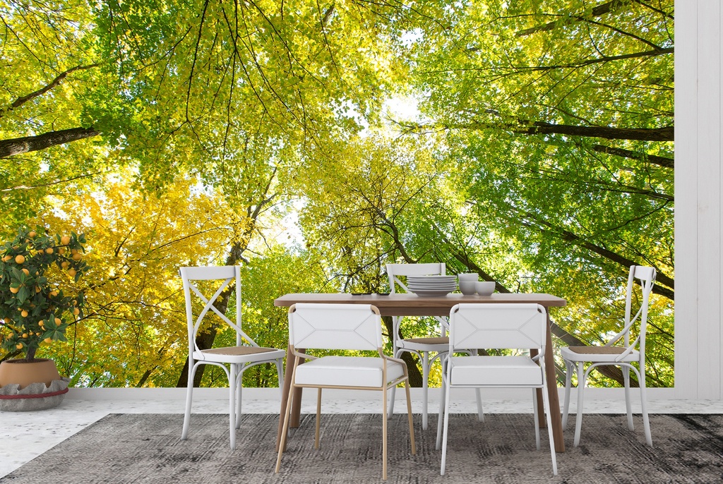 Green Trees Forest Nature Wall Mural Wallpaper