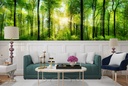 Sunlit Green Trees Forest Woods Wall Mural Wallpaper