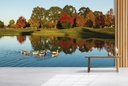 New Zealand Lake Wall Mural Wallpaper