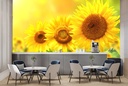 Yellow Sunflowers Wall Mural Wallpaper