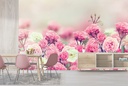 Pink & White Rose Flowers Wall Mural Wallpaper