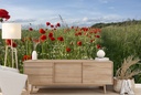 Red Poppy Field Floral Wall Mural Wallpaper - Mod3