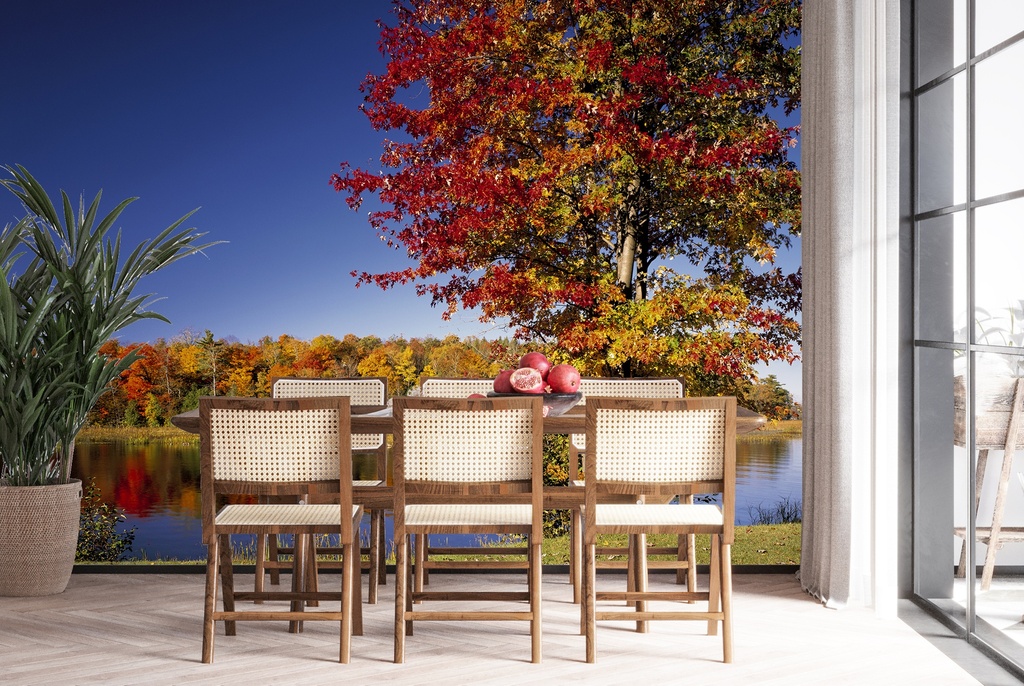 Autumn Trees Forest Lake Wall Mural Wallpaper
