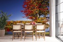 Autumn Trees Forest Lake Wall Mural Wallpaper