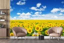Yellow Sunflower Field Wall Mural Wallpaper