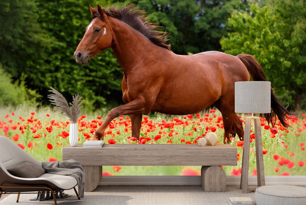 Brown Horse Wall Mural Wallpaper - Mod5