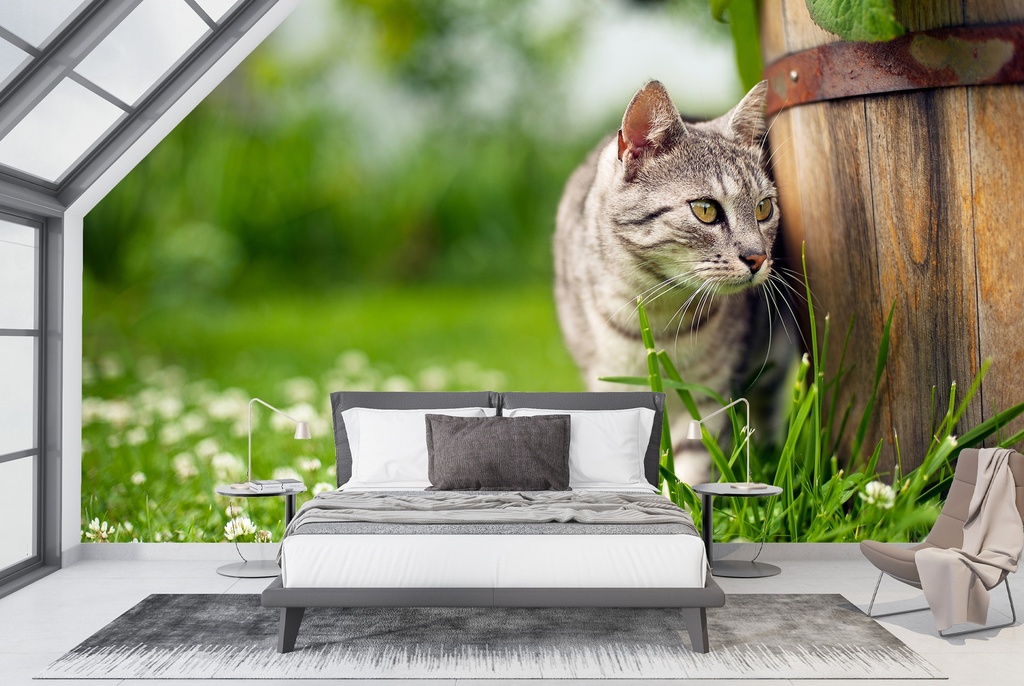 Grey Tabby Cat Wall Mural Wallpaper