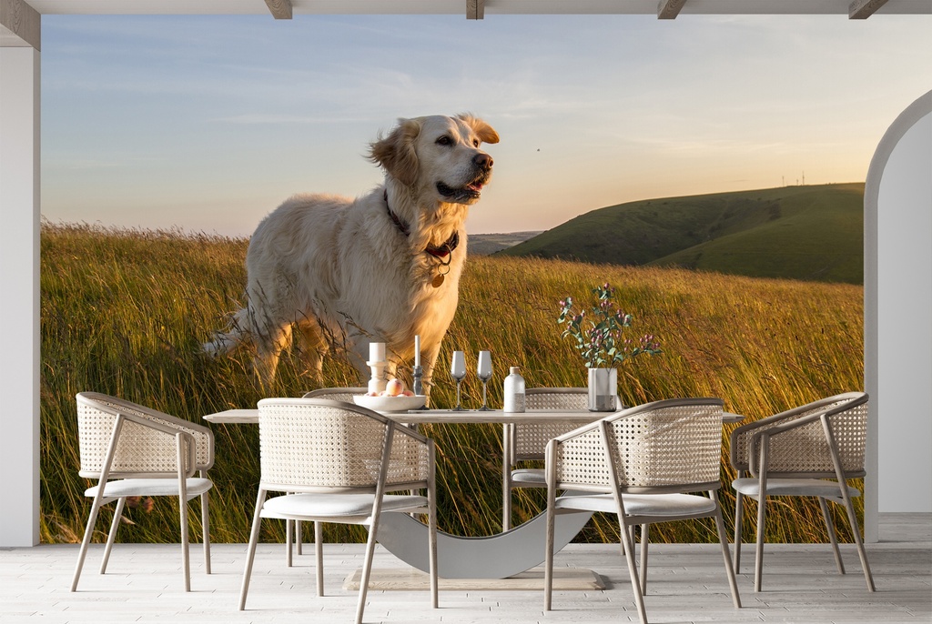 Golden Labrador Dog Wall Mural Wallpaper - Mod7