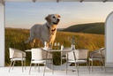 Golden Labrador Dog Wall Mural Wallpaper - Mod7