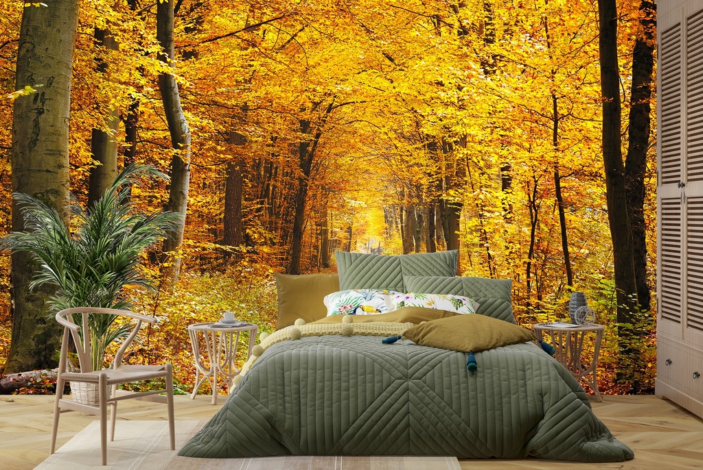 Path Through Autumn Trees Wall Mural Wallpaper