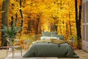 Path Through Autumn Trees Wall Mural Wallpaper
