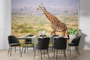 The Giraffe Wall Mural Wallpaper